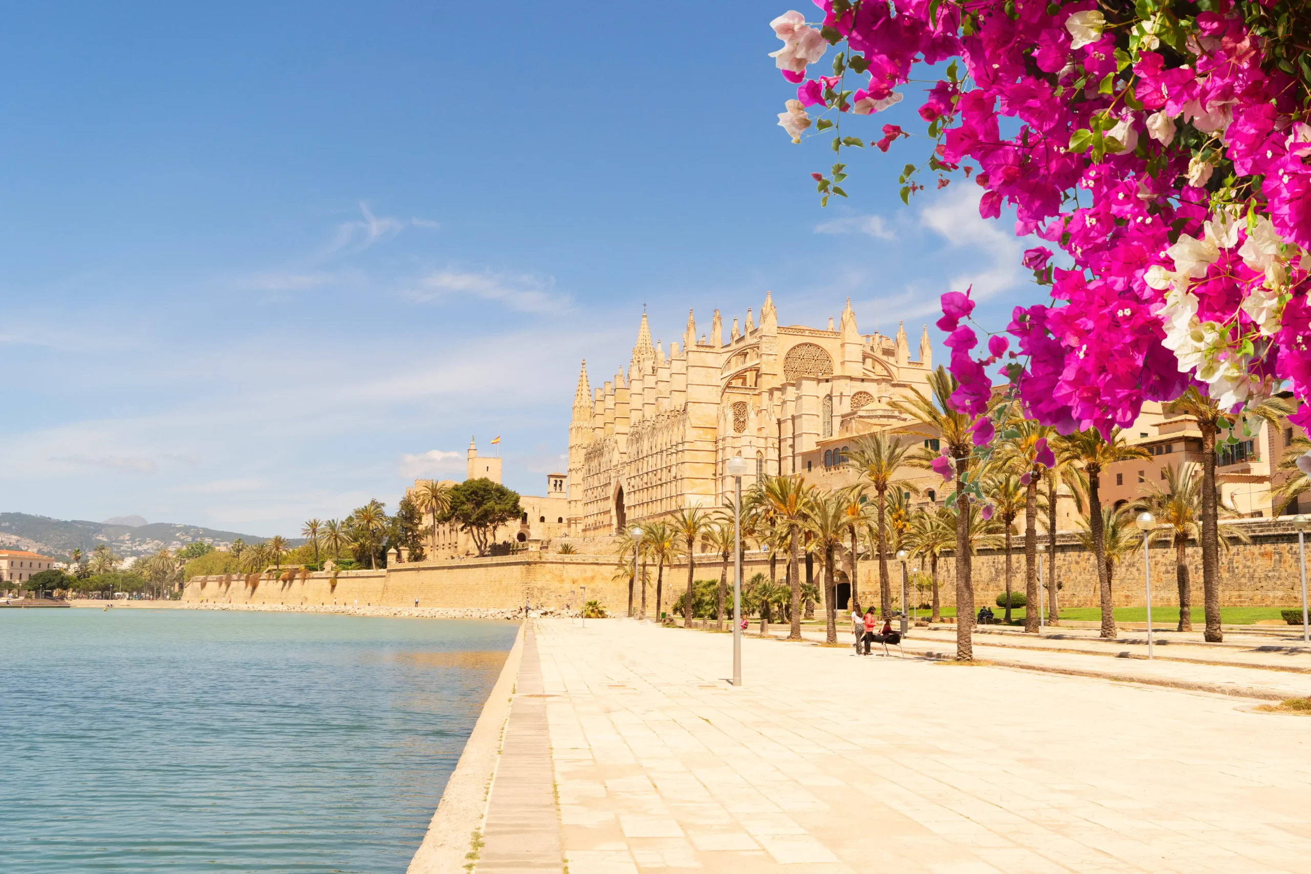 Die Kathedrale von Palma de Mallorca, in der Palma Finance, ein auf Hypotheken spezialisiertes Unternehmen, seinen Hauptsitz hat