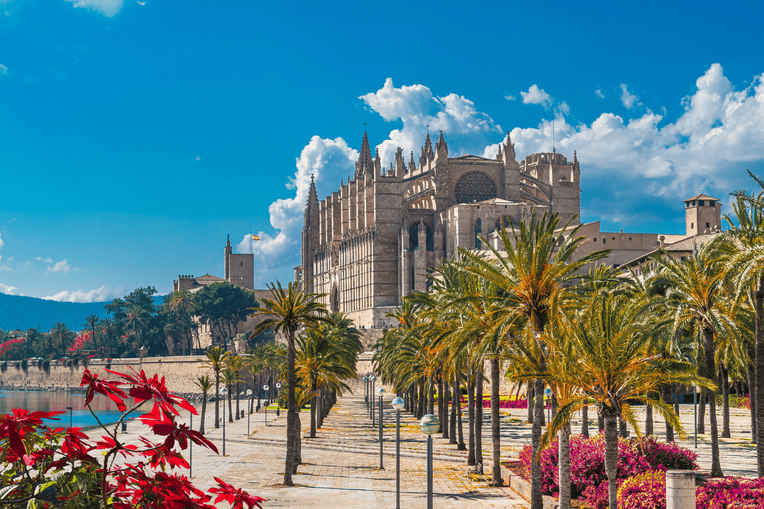 Foto von Mallorca, wo Palma Finance als Hypothekenmakler tätig ist